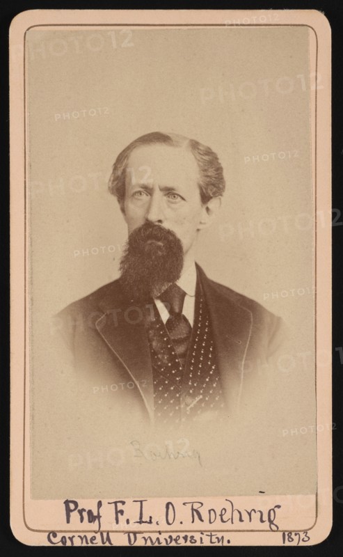 Portrait of Frederic Louis Otto Roehrig (1819-1908), March 6, 1873. Creator: Purdy & Frear.
