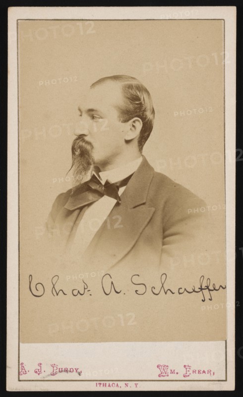 Portrait of Charles Ashmead Schaeffer (1843-1898), 1870s. Creator: Purdy & Frear.