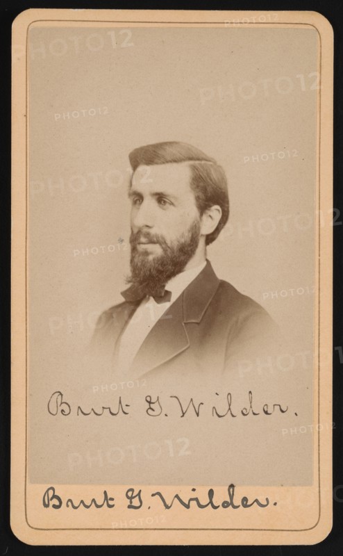 Portrait of Burt Green Wilder (1841-1925), Circa 1870s. Creator: Purdy & Frear.
