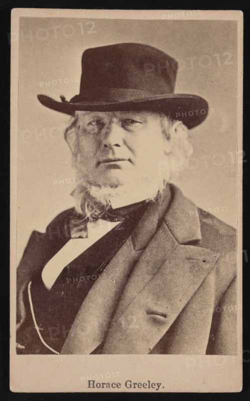 Portrait of Horace Greeley (1811-1872), 1869. Creator: Napoleon Sarony.