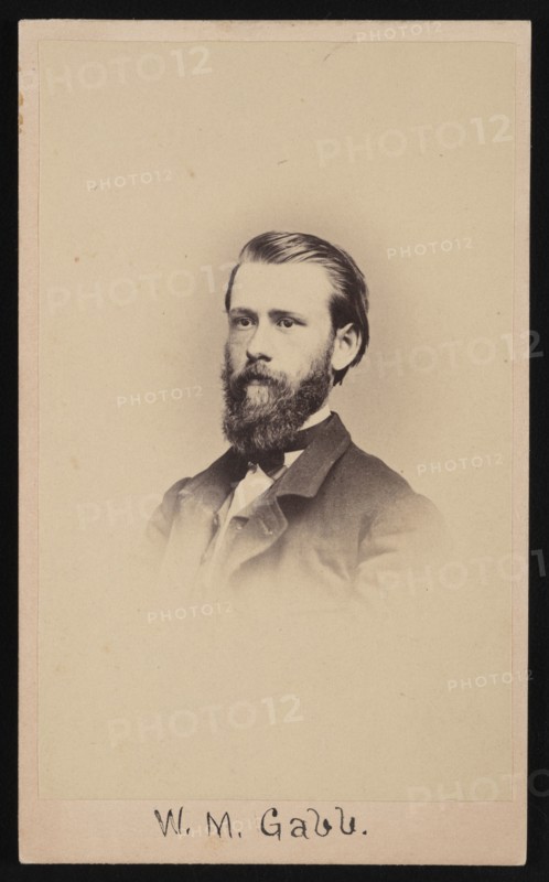 Portrait of William More Gabb (1839-1878), 1864-1865. Creator: Silas Wright Selleck.