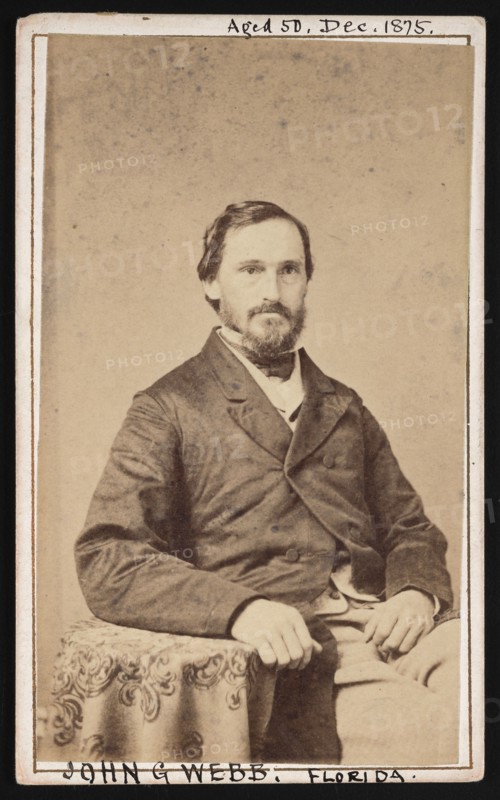 Portrait of John Greene Webb (1824-1908), December 1875. Creator: John B Smith.