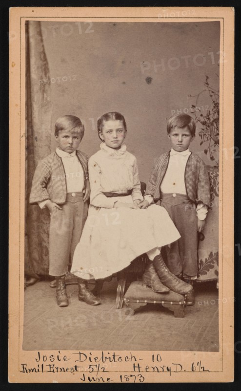 Group Portrait of Herman Henry Diebitsch Children - Emil, Josephine (Josie), and Henry, June 1873. Creator: Ulke Bros.