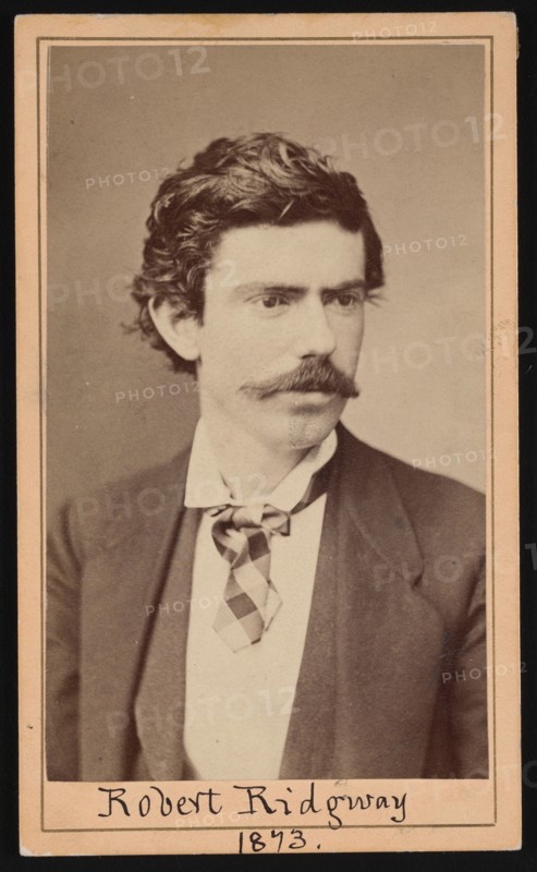 Portrait of Robert Ridgway (1850-1929), April 1873. Creator: Ulke Bros.
