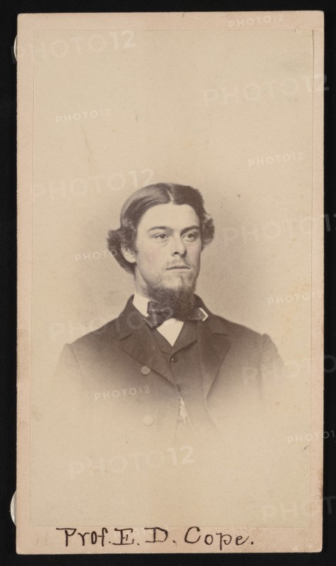 Portrait of Edward Drinker Cope (1840-1897), Circa 1860s. Creator: Unknown.