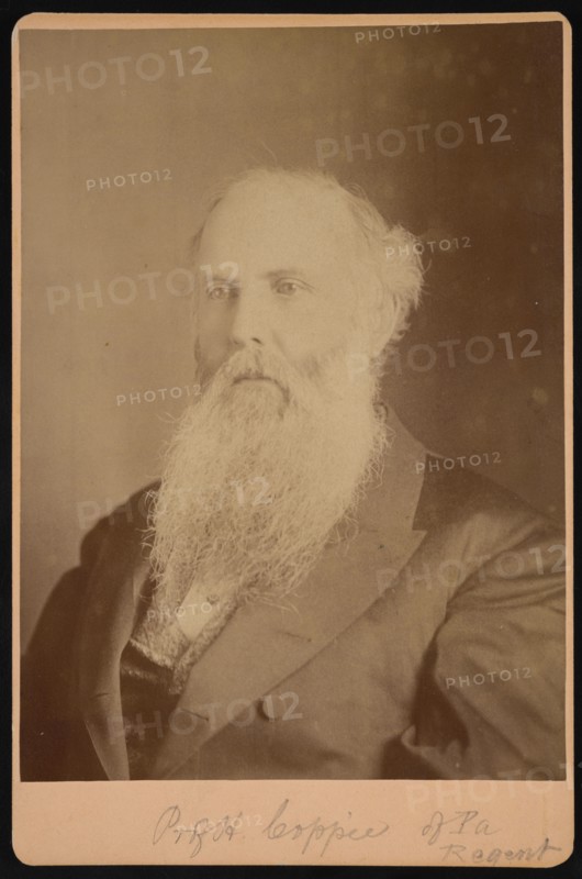 Portrait of Henry Coppee´ (1821-1895), 1875. Creator: Unknown.