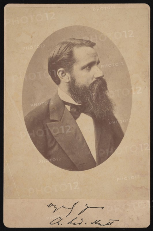 Portrait of Charles Frederick Hartt (1840-1878), Before 1878. Creator: Unknown.