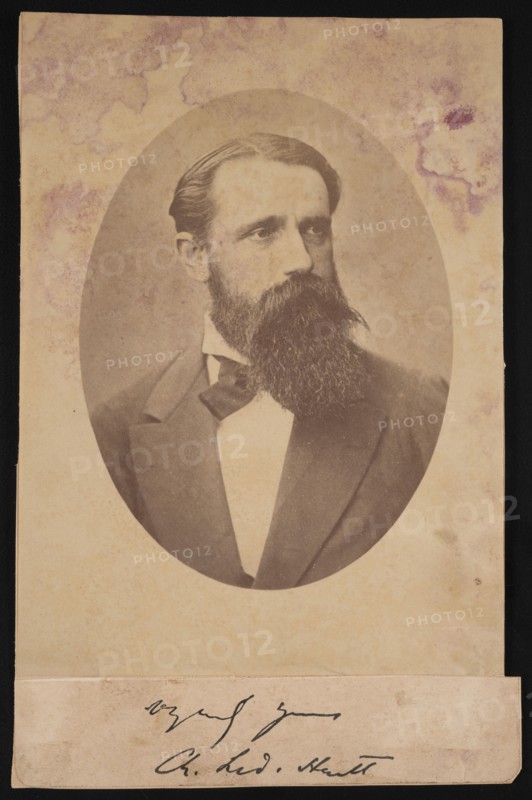 Portrait of Charles Frederick Hartt (1840-1878), Before 1878. Creator: Unknown.