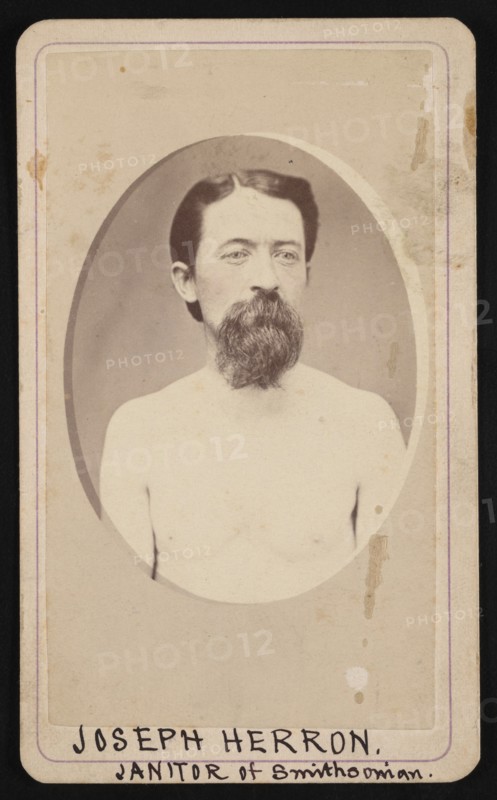 Portrait of Joseph Herron (1839-1882), Before 1882. Creator: Unknown.