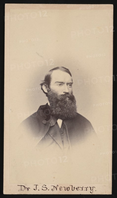 Portrait of John Strong Newberry (1822-1892), Before 1887. Creator: Unknown.
