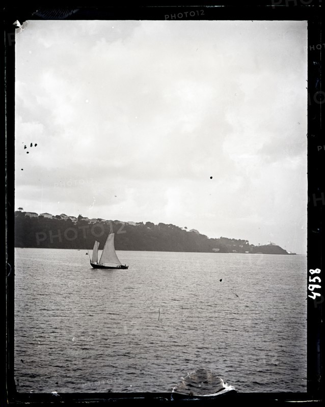 United States Fish Commission Steamer "Albatross" Circumnavigation of South America, 1888. Creator: United States National Museum Photographic Laboratory.