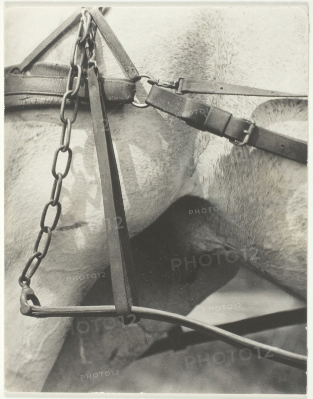 Equivalent, Spiritual America, 1923. Creator: Alfred Stieglitz.