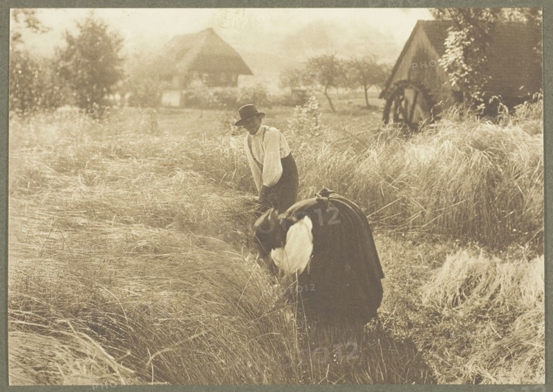 Early Morn, 1894. Creator: Alfred Stieglitz.