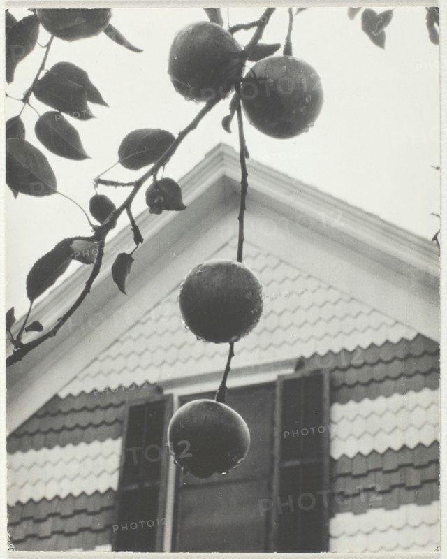 Gable and Apples, 1922. Creator: Alfred Stieglitz.