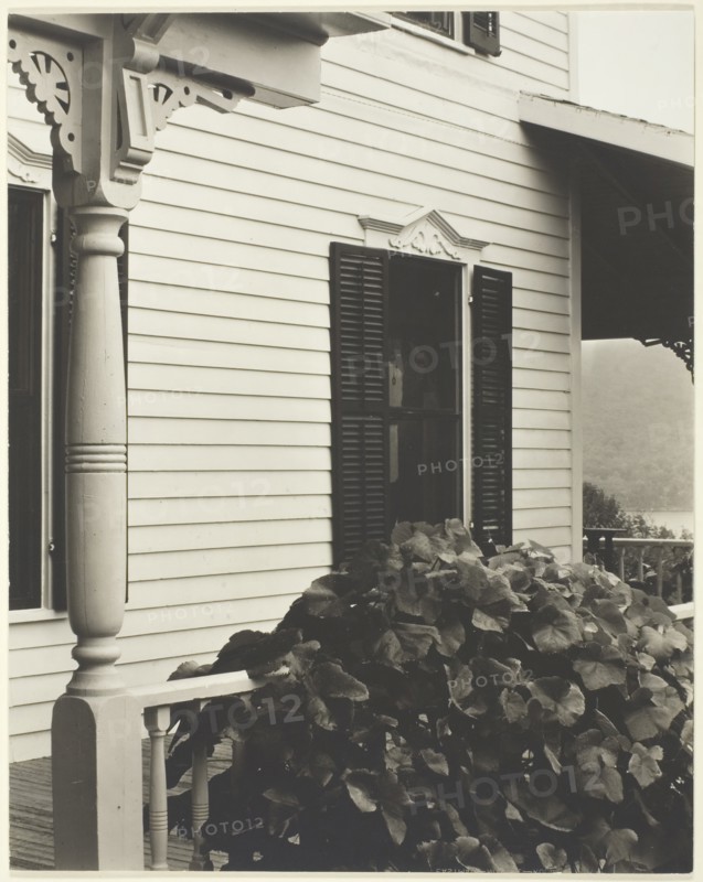 House and Grape Leaves, 1934. Creator: Alfred Stieglitz.
