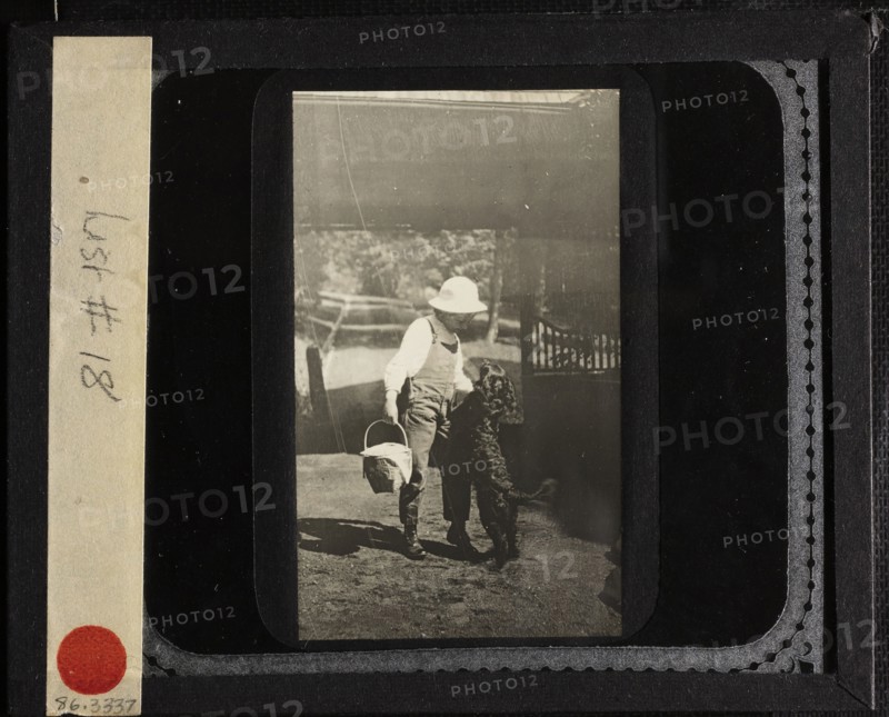 Untitled (Niece Elizabeth with "Inky" at Oaklawn), c. 1903. Creator: Alfred Stieglitz.