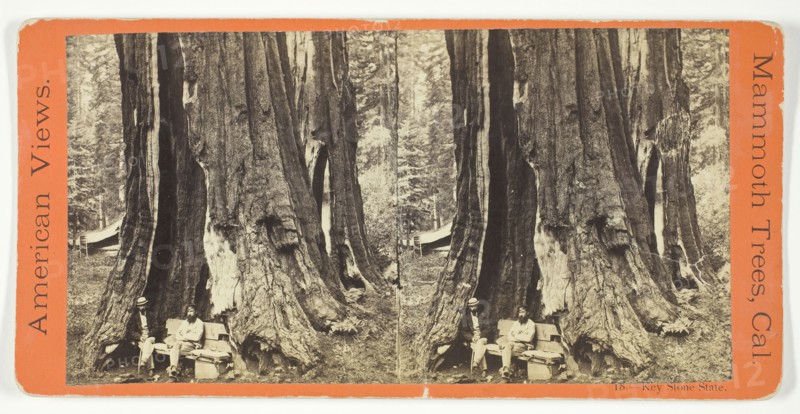 Key Stone State, 1870/71. Creator: Anthony & Company.