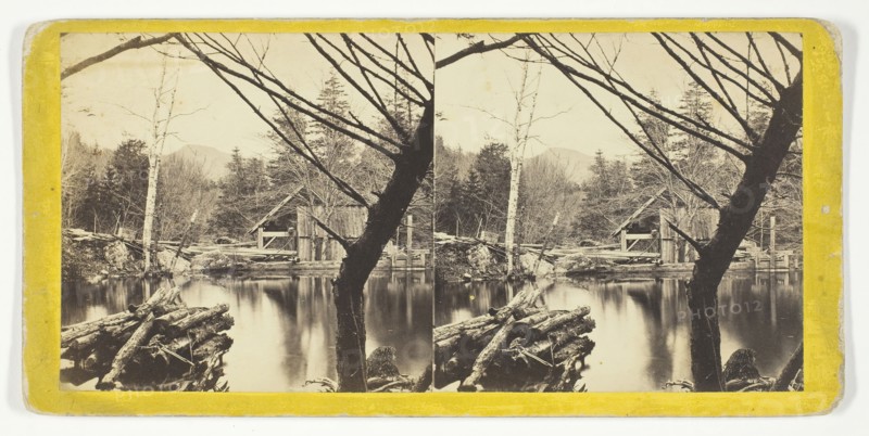 The Mill Pond near Laurel House, 1869/1901. Creator: Anthony & Company.