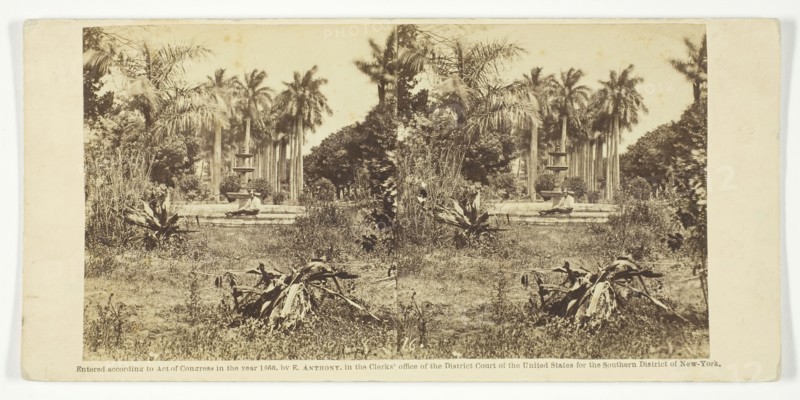 View at the Bishop's Garden, Havana, 1860. Creator: Anthony & Company.