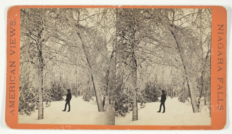 View on Goat Island, 1869/73. Creator: Anthony & Company.
