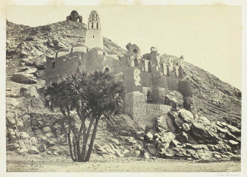 Doum Palm and Ruined Mosque, Philæ, 1857. Creator: Francis Frith.