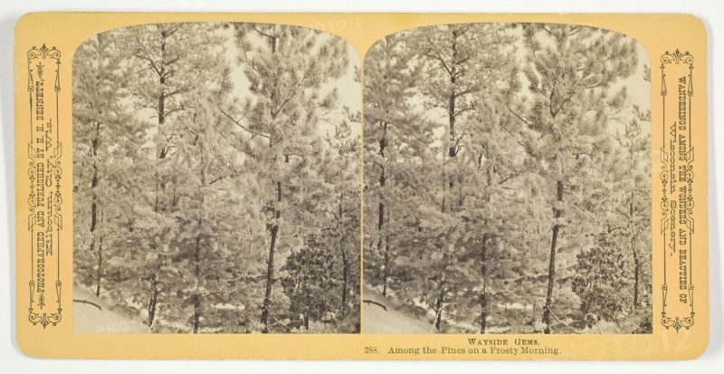 Among the Pines on a Frosty Morning, 1870/89. Creator: Henry Hamilton Bennett.