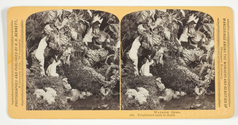 Frightened most to death, 1870/89. Creator: Henry Hamilton Bennett.