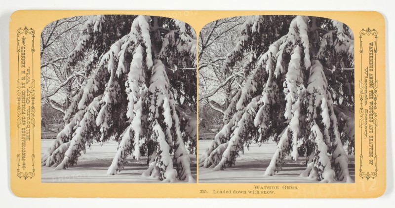 Loaded down with snow, 1870/89. Creator: Henry Hamilton Bennett.
