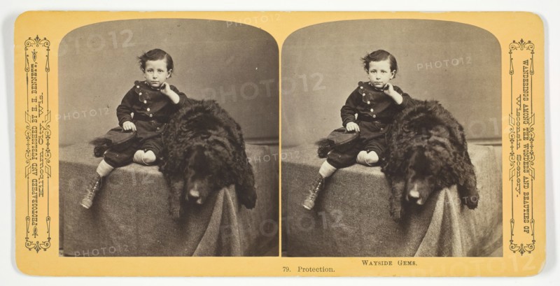Protection, 1870/89. Creator: Henry Hamilton Bennett.