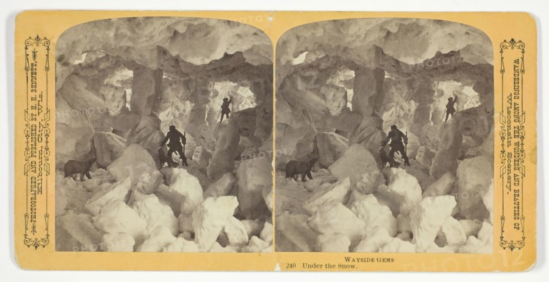 Under the Snow, 1870/89. Creator: Henry Hamilton Bennett.