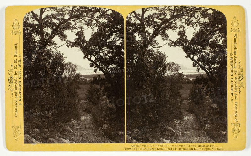 Down the old Quarry Road near Frontenac on Lake Pepn, 1870/1908. Creator: Henry Hamilton Bennett.