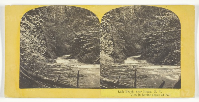Lick Brook, near Ithaca, N.Y. View in Ravine above 2d Fall, 1860/65. Creator: J. C. Burritt.