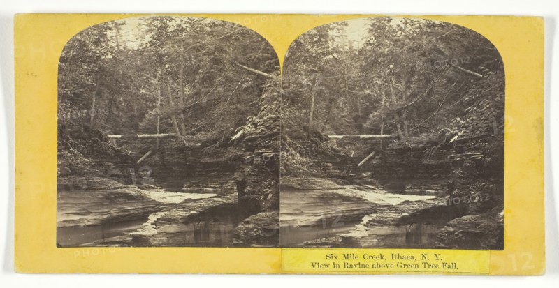 Six Mile Creek, Ithaca, N.Y. View in Ravine above Green Tree Fall, 1860/65. Creator: J. C. Burritt.