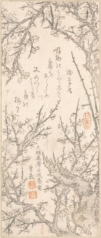 Plum Tree in Blossom, 1813. Creator: Kitao Shigemasa.