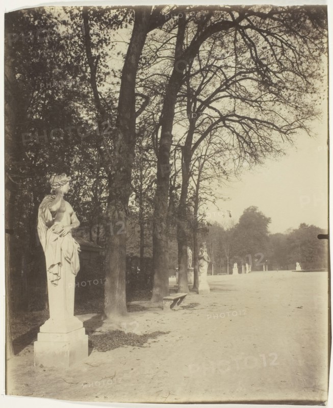 Versailles, Coin de Parc, 1904. Creator: Eugene Atget.