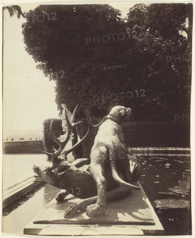 Versailles, Fontaine de Point du Jour, (Limier Abattant un Cerf par Houzeau), 1903. Creator: Eugene Atget.