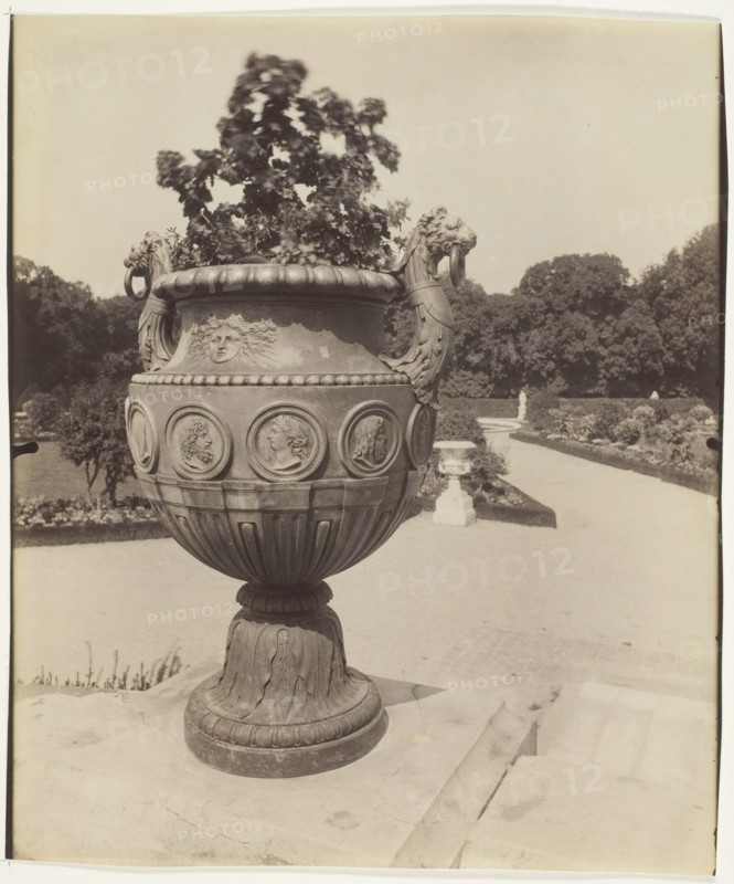 Versailles, Vase par Ballin, 1901. Creator: Eugene Atget.