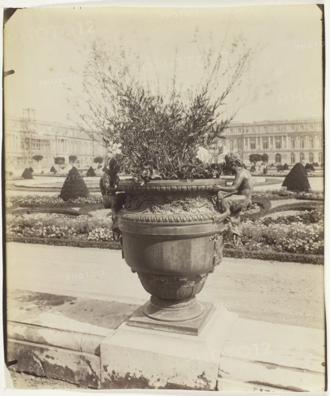 Versailles, Vase par Ballin, 1902. Creator: Eugene Atget.