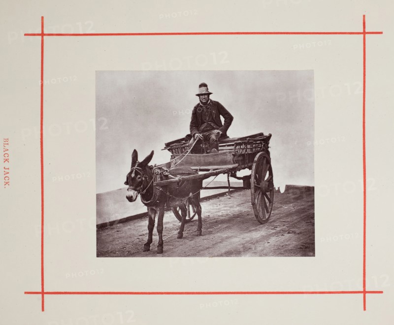 Black Jack, 1877. Creator: John Thomson.