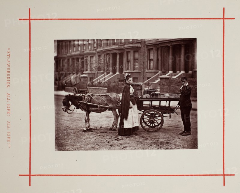Strawberries. All ripe! All ripe!, 1877. Creator: John Thomson.