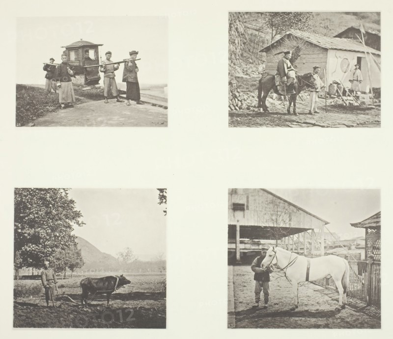 The Sedan; A Military Officer; The Plough; A North China Pony, c. 1868. Creator: John Thomson.