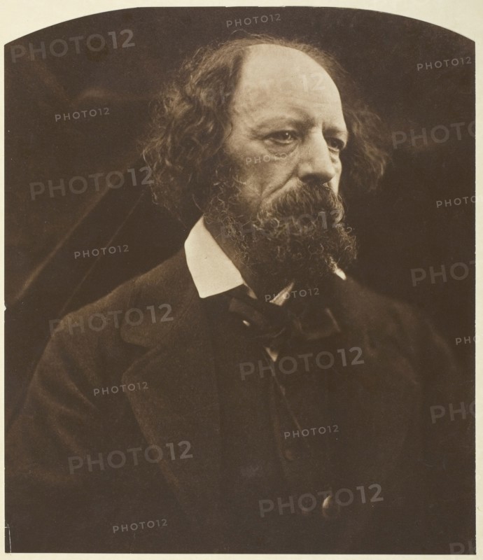 Alfred, Lord Tennyson, 1869, printed 1875. Creator: Julia Margaret Cameron.