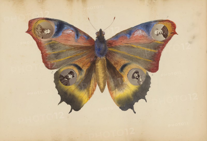 The Madame B Album, 1870s. Creator: Marie Blanche Hennelle Fournier.