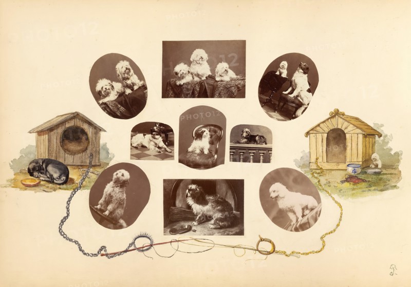 The Madame B Album, 1870s. Creator: Marie Blanche Hennelle Fournier.