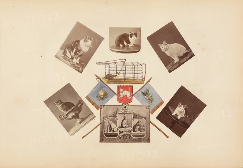 The Madame B Album, 1870s. Creator: Marie Blanche Hennelle Fournier.