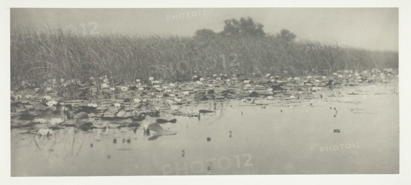 Water-Lilies, 1886. Creator: Peter Henry Emerson.