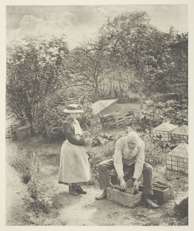 A Garden End (Suffolk), c. 1883/87, printed 1888. Creator: Peter Henry Emerson.