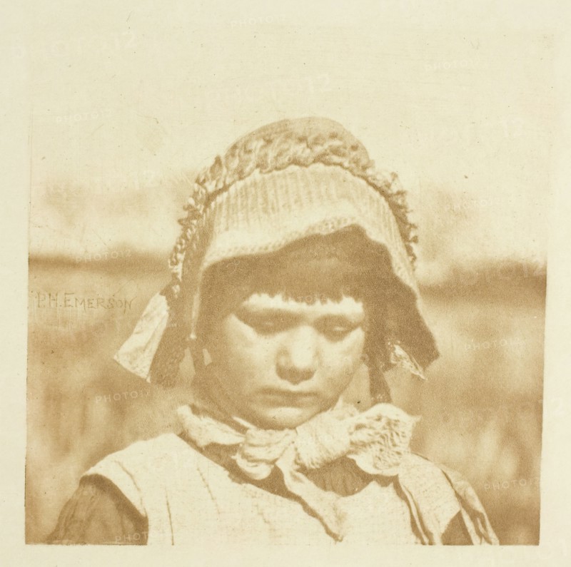 A Norfolk Flower, 1883/87, printed 1888. Creator: Peter Henry Emerson.