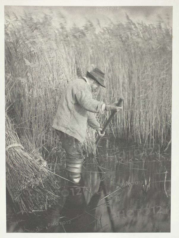 A Reed-Cutter at Work, 1886. Creator: Peter Henry Emerson.