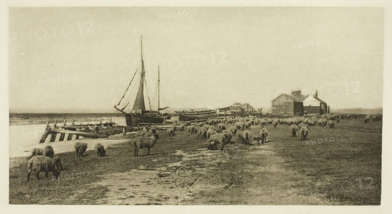 Blackshore, River Blythe (Suffolk), c. 1883/87, printed 1888. Creator: Peter Henry Emerson.